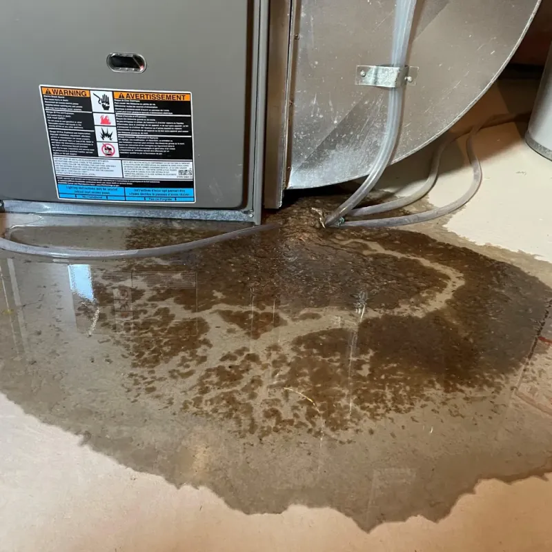 Appliance Leak Cleanup in Glasgow, MT